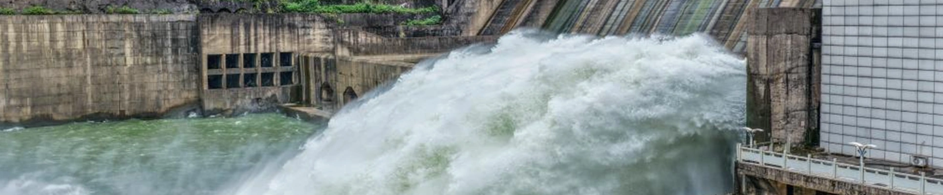 కేసులు